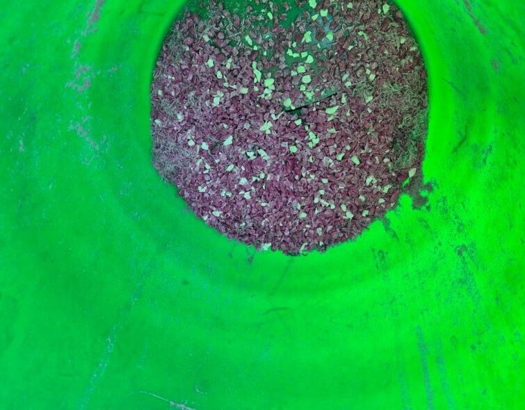 - PLASTIC SHREDDER