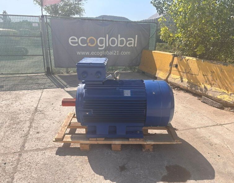 - MOTOR ELÈCTRIC CEMER 315KW**NOU**d'ocasió